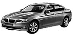 BMW F10 P1060 Fault Code